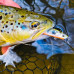 SAVAGE GEAR 3D Sticklebait Twitch 6.5cm 9.4 Sinking