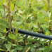 Акумуляторний кущоріз Bosch Universal Hedge Cut 18V-50 без акб та з/п (0600849K00)