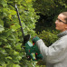 Акумуляторний кущоріз Bosch Easy Hedge Cut 18-52-13, без акб та з/п (0600849M00)