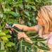 Акумуляторний секатор Bosch EasyPrune (06008B2102)