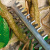 Кущоріз Bosch Advanced Hedge Cut 65 (06008C0801)