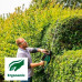Кущоріз Bosch Advanced Hedge Cut 70 (06008C0903)