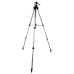 Штатив Bosch BT 250 Professional (0601096A00)