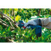 Акумуляторний садовий секатор Bosch Pro Pruner Professional, 2 акб GBA 12V 3.0Ah і з/п GAL 12V-20 (06019K1021)