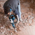 Перфоратор Bosch GBH 8-45 DV Professional в кейсі (0611265000)